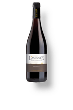 Maison-L’avenir-Pinotage