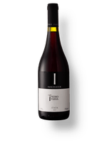 Vinho_Tinto_Pedro_Parra_y_Familia_Imaginador_2017_024665