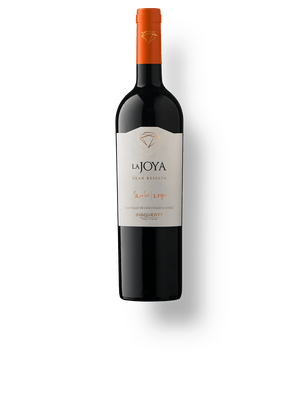 Bisquertt La Joya Gran Reserva Merlot
