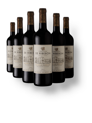 Kit 6 Château Ribebon