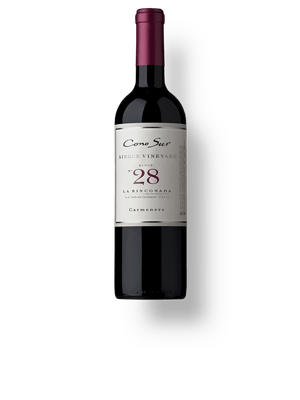 Cono Sur Single Vineyard Carmenère Block 28 "la Rinconada"