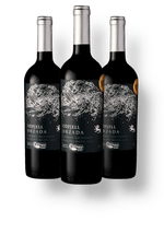 KIT-3-022237-Odfjell-Orzada-Cabernet-Sauvignon-Organico