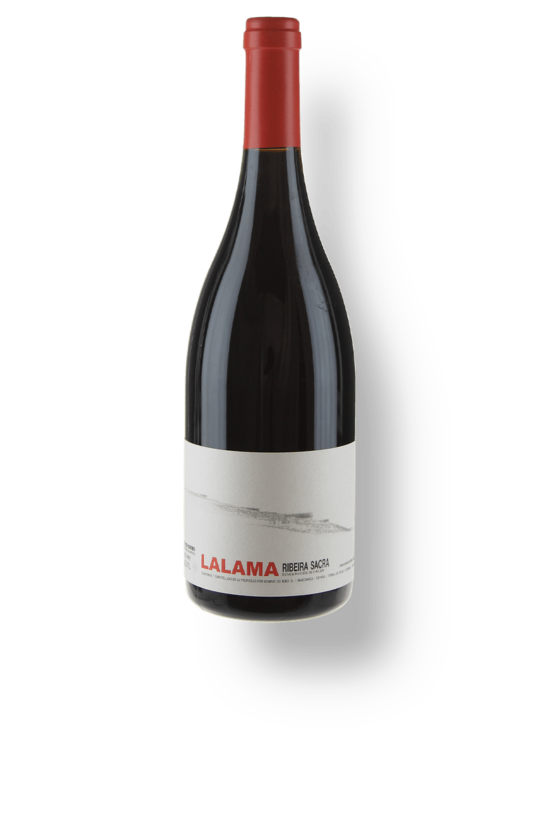 Vinho_Tinto_Dominio_do_Bibei_Lalama_025147