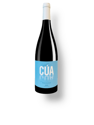 Valle del Cúa Mencía