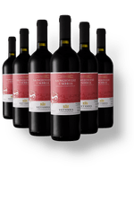 sangiovese-umbria