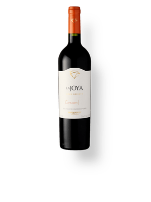 Bisquertt La Joya Gran Reserva Carménère