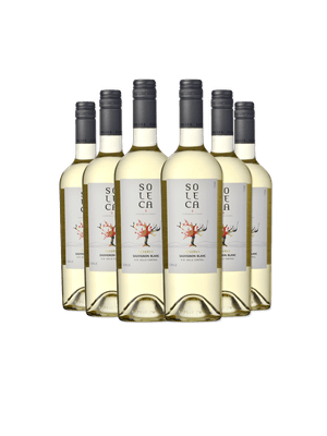 Kit 6 Soleca Reserva Sauvignon Blanc