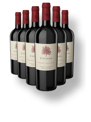 Kit 6 Atamisque Catalpa Cabernet Sauvignon