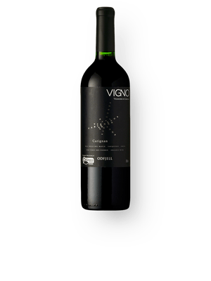Odfjell Vigno Carignan Orgânico