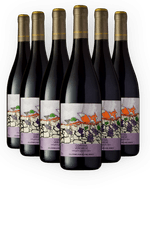 026168-Negrar-Collezione-Corvina-IGT-2018-kit6