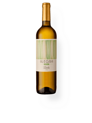 Alegra Rueda Verdejo