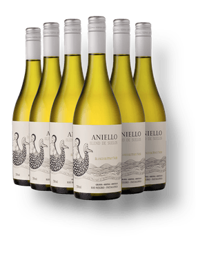 Kit 6 Aniello SOIL Blanco de Pinot Noir