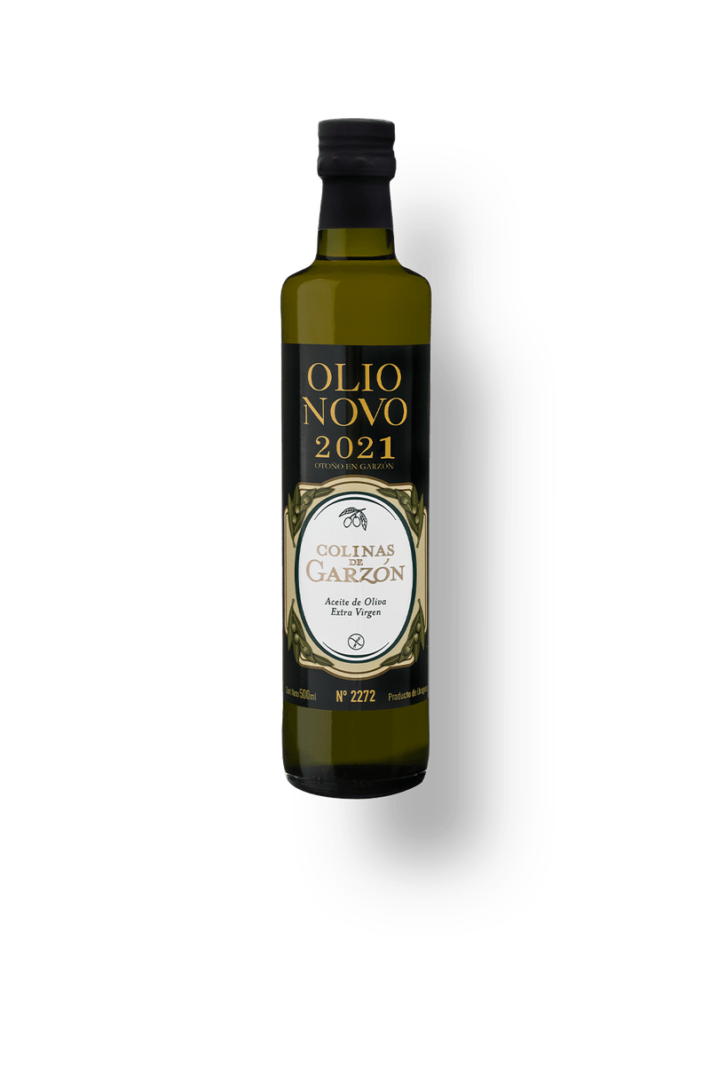 olivo-novo-2021