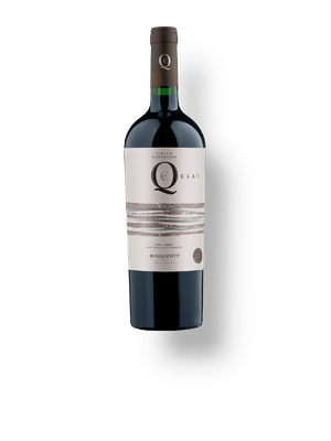 Bisquertt Q Clay Syrah - Malbec