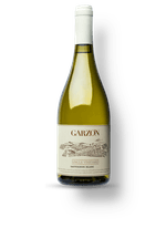 025427---Garzon-Single-Vineyard-Sauvignon-Blanc--1-