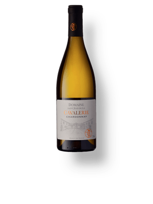 Domaine Saint Jean De La Cavalerie Chardonnay