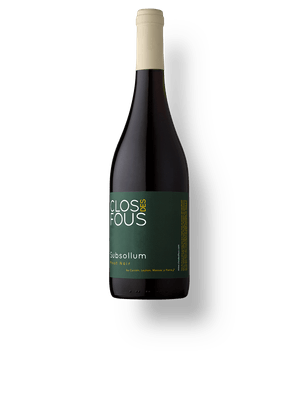 Clos Des Fous Subsollum Pinot Noir