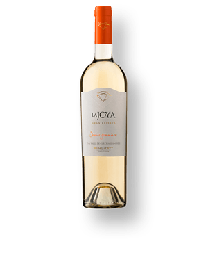 Bisquertt La Joya Gran Reserva Gewurztraminer