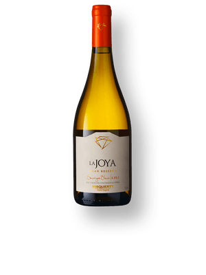 Bisquertt La Joya Gran Reserva Sauvignon Blanc