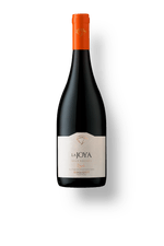 022563---Bisquertt-La-Joya-Gran-Reserva-Syrah