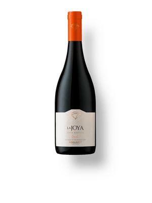 Bisquertt La Joya Gran Reserva Syrah