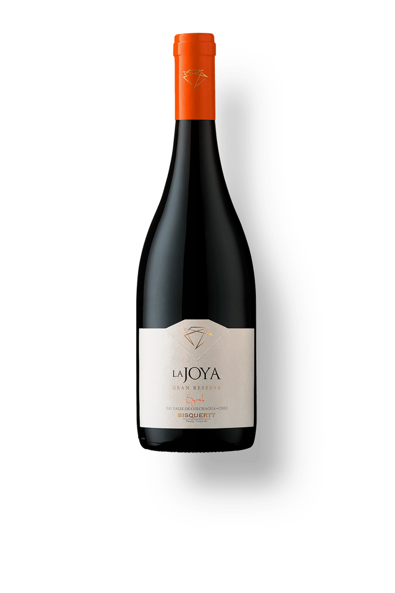 022563---Bisquertt-La-Joya-Gran-Reserva-Syrah