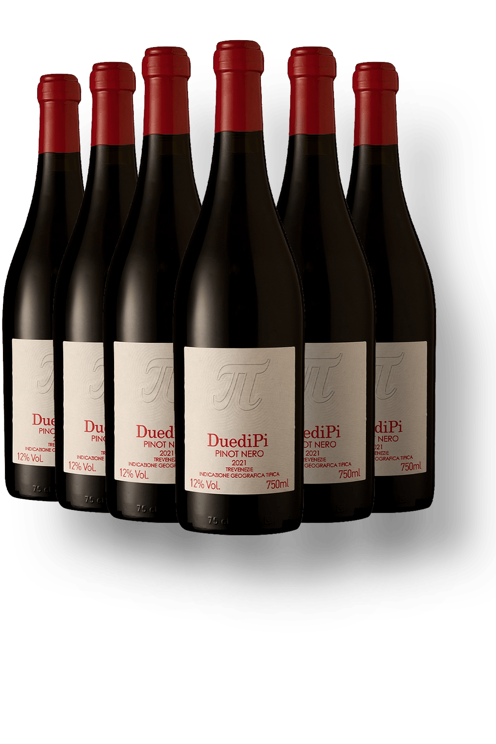 Kit 6 Duedipi Pinot Nero Trevenezie IGT - World Wine