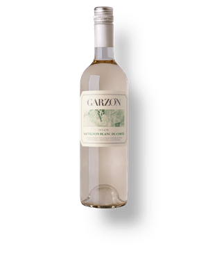 Garzón Estate Sauvignon Blanc de Corte