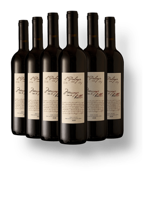 Kit 6 Il Palagio Message In a Bottle Sangiovese Toscana IGT