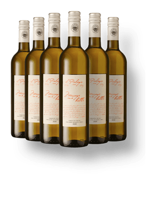 Kit 6 Il Palagio Message In a Bottle Vermentino Toscana IGT