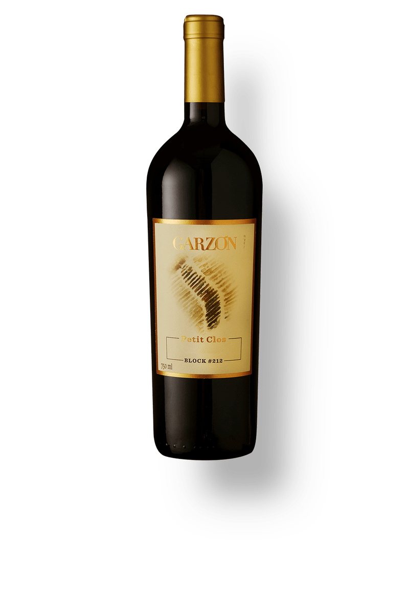 027760---Garzon-Petit-Clos-Tannat-2019-Block