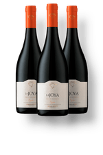 kit-3-Bisquertt-Syrah