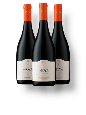 Kit 3 Bisquertt La Joya Gran Reserva Syrah
