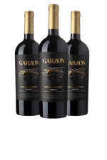 028005_-_Garzon_Single_Vineyard_Tannat