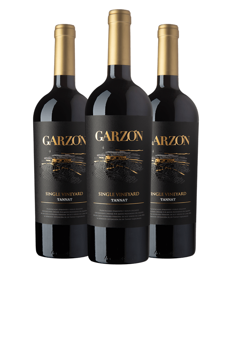 028005_-_Garzon_Single_Vineyard_Tannat