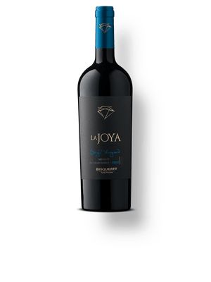 Bisquertt La Joya Single Vineyard Merlot