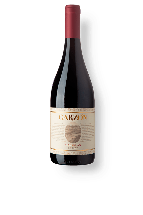 Garzón Reserva Marselan