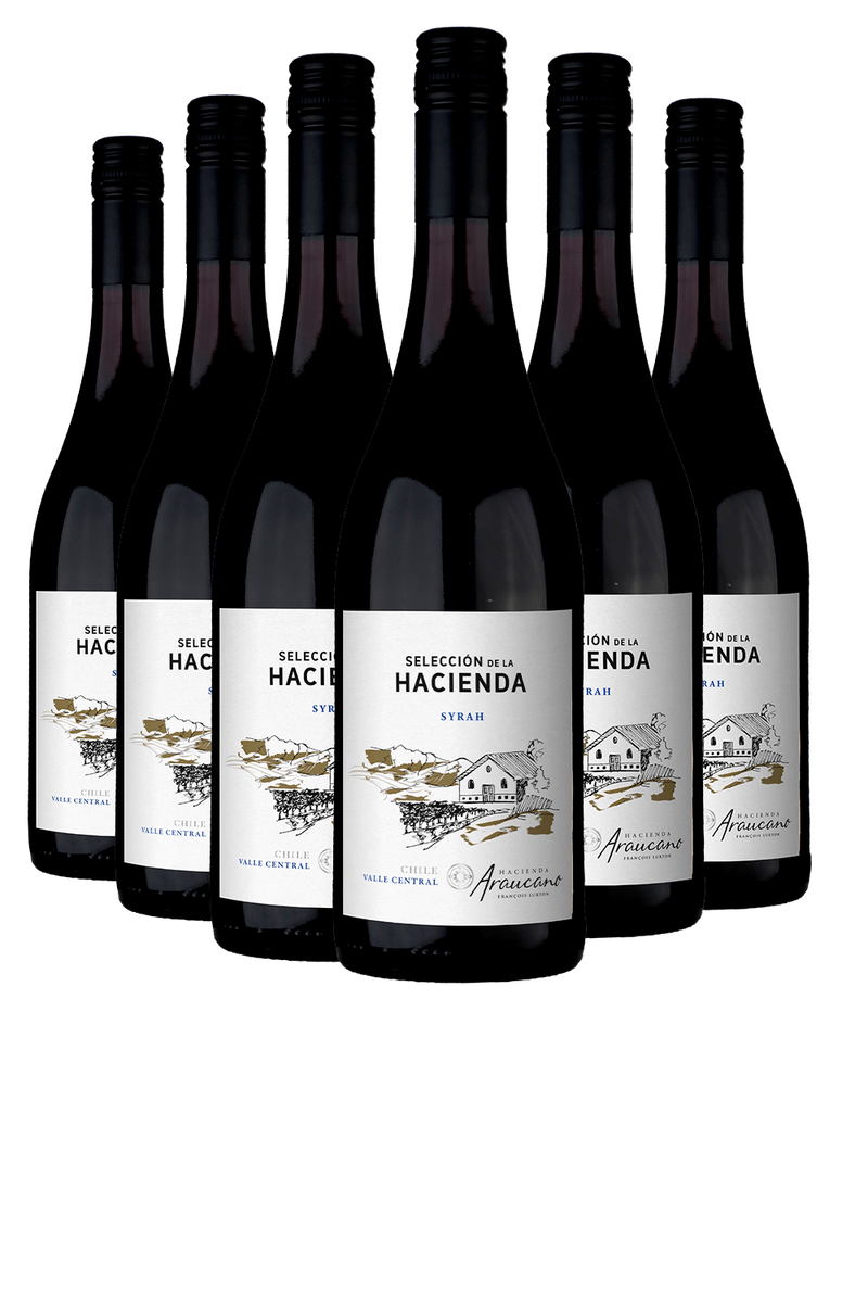 28528-Kit-6-Selecion-de-La-Hacienda-Syrah