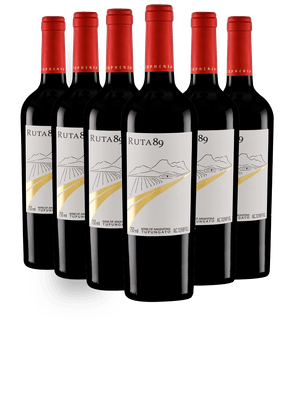 Kit 6 Finca Sophenia Ruta 89 Reserve Malbec