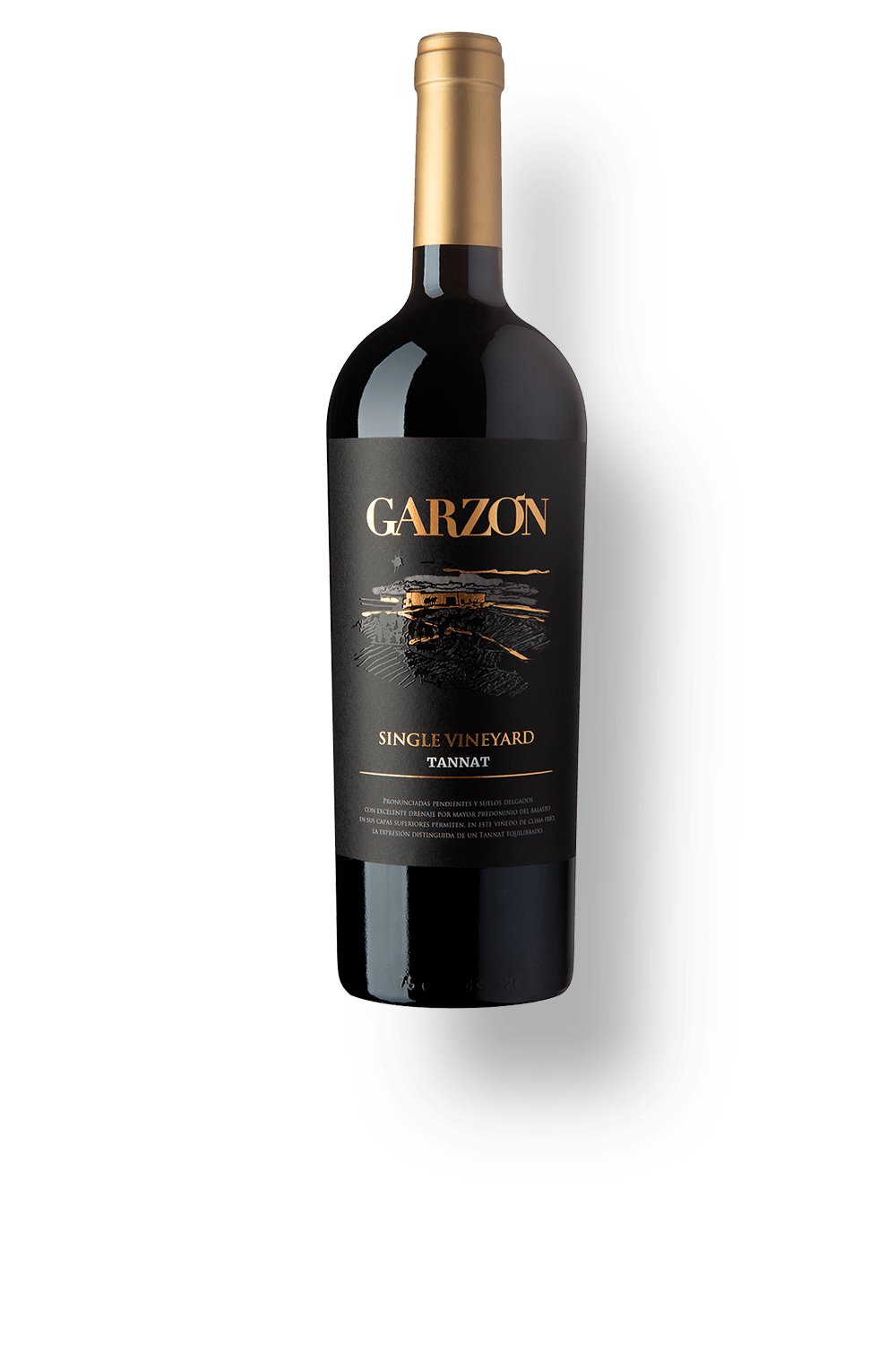 Garzón Single Vineyard Tannat - World Wine