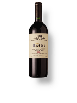 Baettig Selección de Parcelas Los Padrinos Cabernet Sauvignon