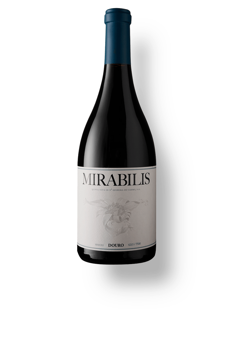 Mirabilis-tinto