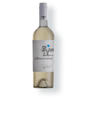 Bouchon Reserva Sauvignon Blanc