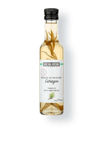 estragao-1-