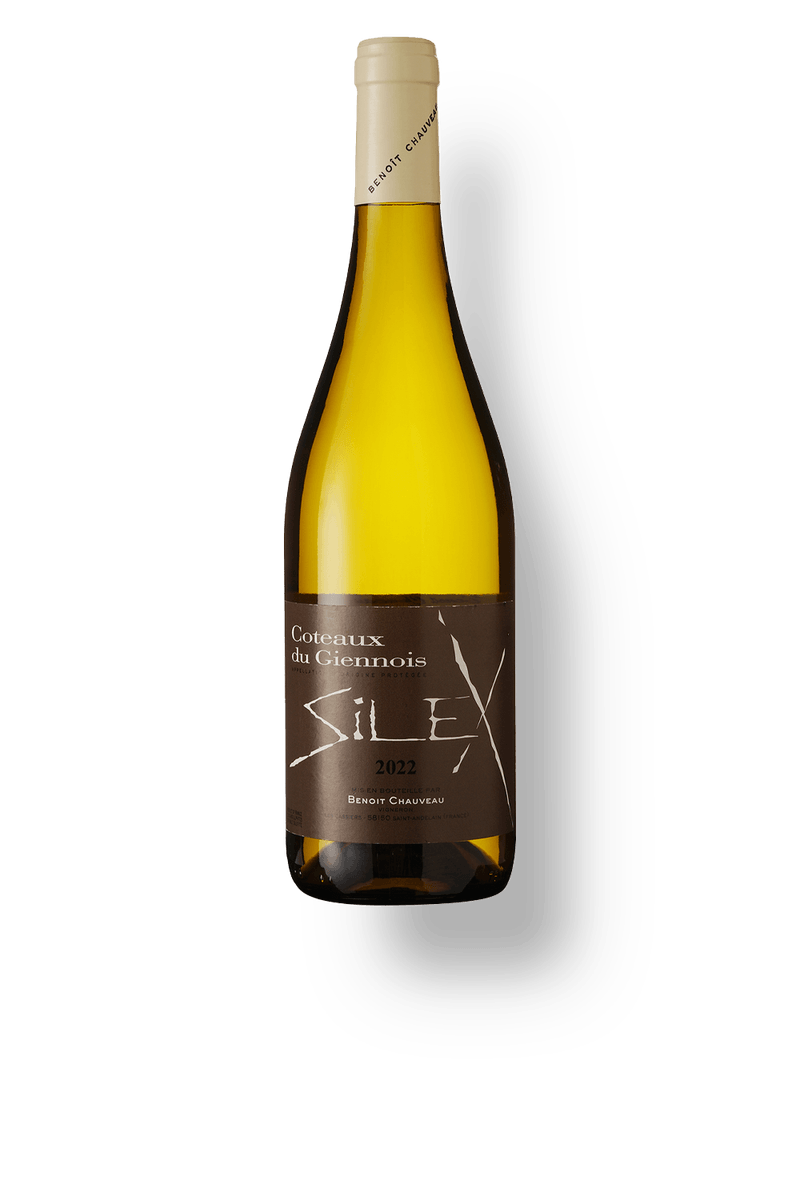 028552-Dom.-Chauveau-Coteaux-du-Giennois-Silex