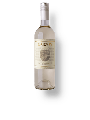 Garzón Reserva Sauvignon Blanc