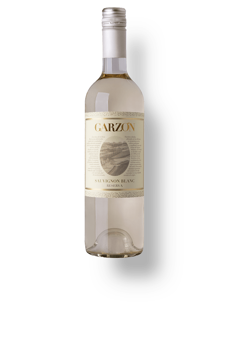 Sauvignon-Blanc-Reserva