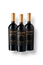 029097---Garzon-Single-Vineyard-Petit-Verdot-2022-KIT3--1-.png