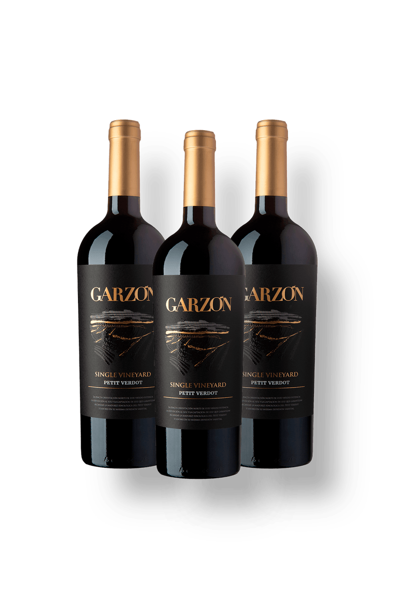 029097---Garzon-Single-Vineyard-Petit-Verdot-2022-KIT3--1-.png