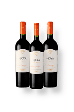 02256-Bisquertt-La-Joya-Gran-Reserva-Cabernet-Sauvignon-2022-KIT3.png